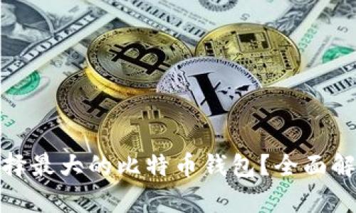 : 如何选择最大的比特币钱包？全面解析及推荐