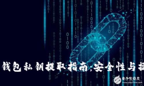:以太坊钱包私钥提取指南：安全性与操作步骤