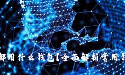 比特币现金都用什么钱包？全面解析常用钱包及其优势