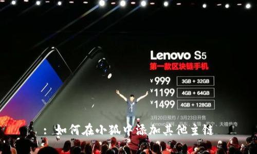 : 如何在小狐中添加其他主链